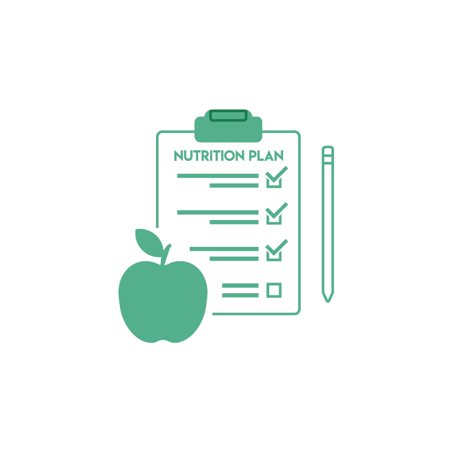 دايت