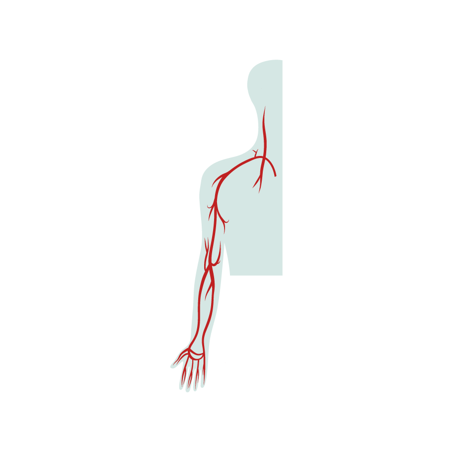 اوعية دمويه